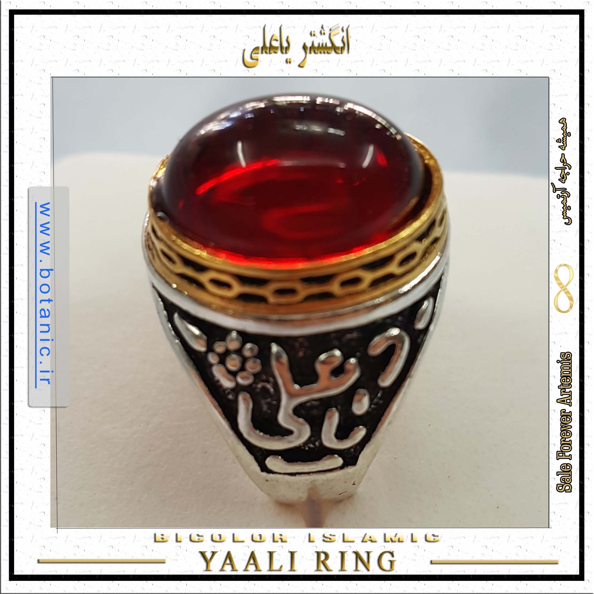 Buy Asoodehdelan 316L Stainless Steel Islamic Arabic Muslim Allah Imam Ali  Ring Islam Art Gift Online at desertcartEGYPT
